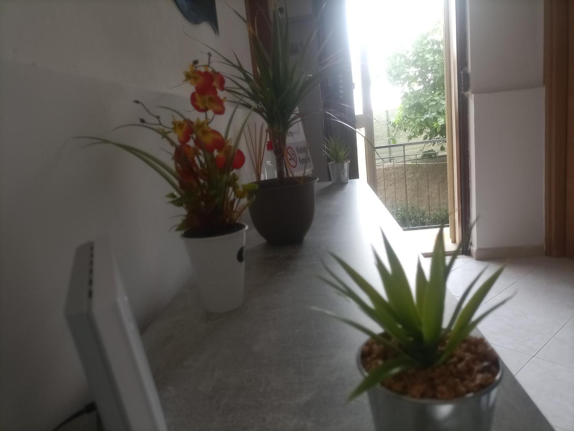 Casa Dalila Appartement Belvedere  Buitenkant foto